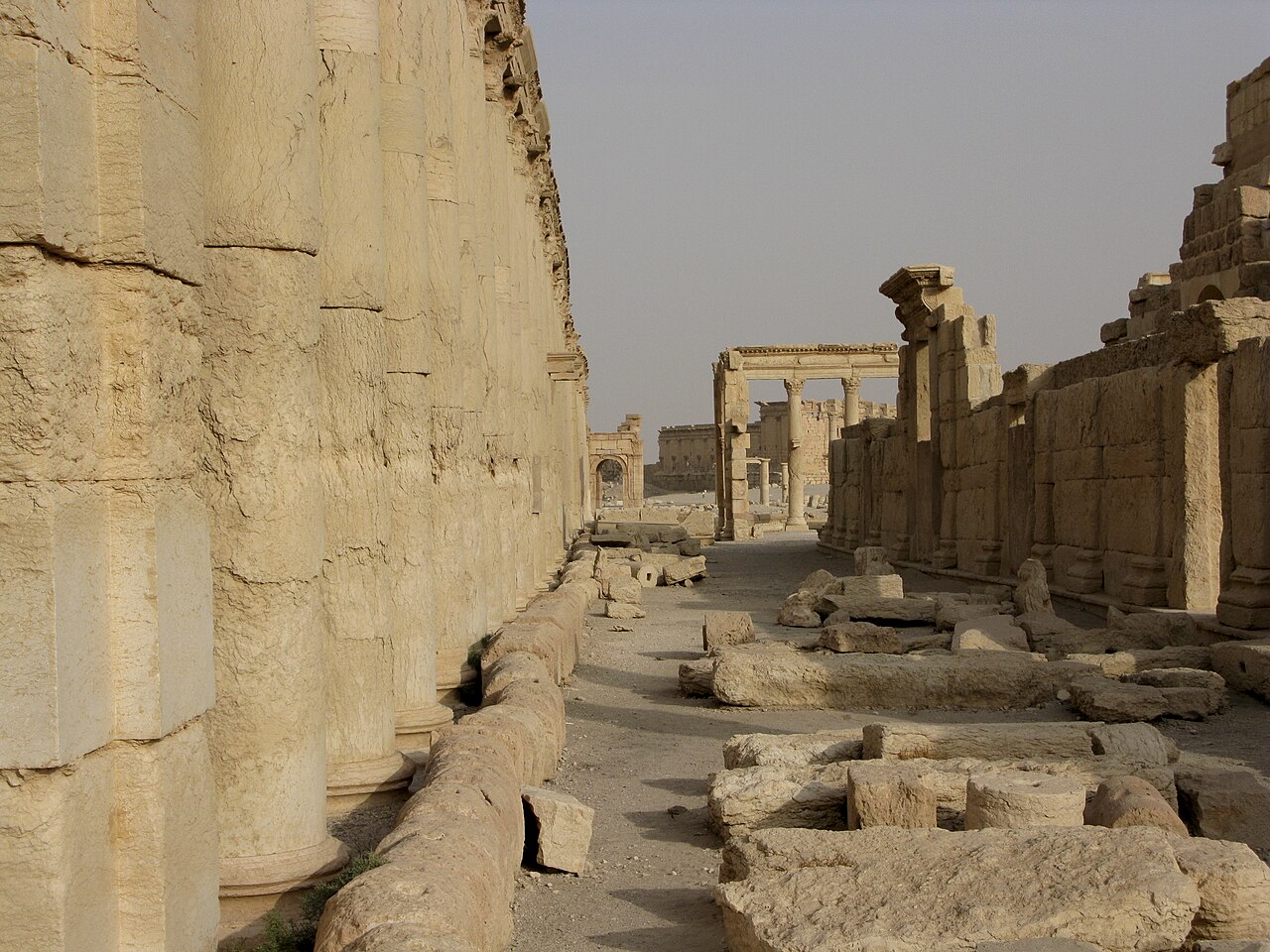 تدمر